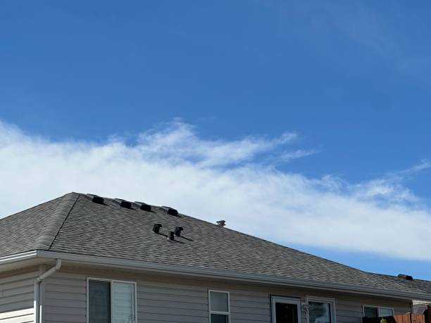 Steel Roofing in Nanawale Estates, HI